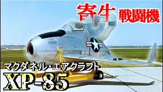 【McDonnell XP-85/XF-85】世界一小さい戦闘機を徹底解説！