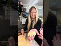 Sugar Cookies