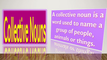 Class 3, English Grammar, Revision by Rimmi Singh