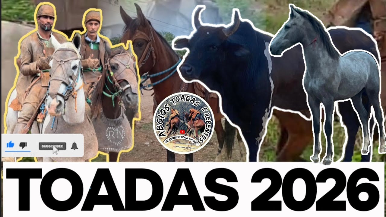 Toadas 2026 As Melhores de Gado,  Vaqueiros do Gibão Pesado 👏 