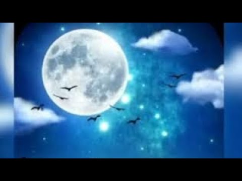 نجوى كرم بمزح معك Dance حالات واتس موسيقى Shorts ريمكس Shorts الرائجة Filmigaane اكسبلور