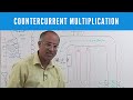 Urine Concentration & Dilution - Countercurrent Multiplication