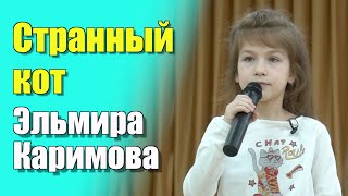 Странный кот – Жанна Колмагорова cover Альмира Каримова