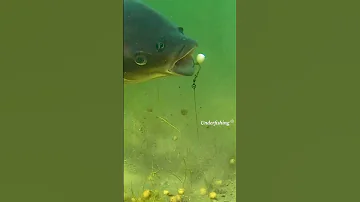 This Is Insane 