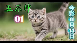 今彩539分享號碼