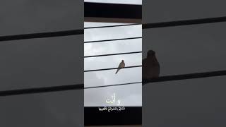 اللهم آمين ✨❤️