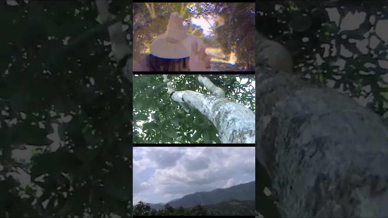 Alivio video oficial