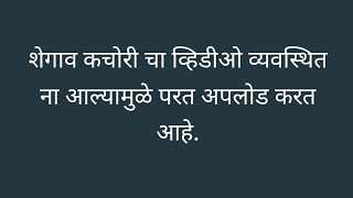 शेगावं  कचोरी.....