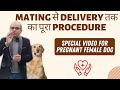 How to take care of Pregnant Female Dog? TAKE THESE TIPS SERIOUSLY | Baadal Bhandaari