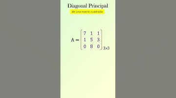 Diagonal principal y diagonal secundaria. #maths #matrices