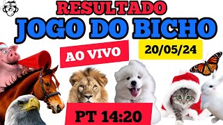 RESULTADO DO JOGO DO BICHO AO VIVO PT 20/05/24