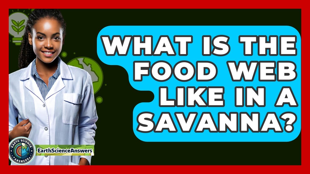 What Is The Food Web Like In A Savanna? - Earth Science Answers