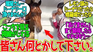 エバヤン君 ← ドーナツ欲しさに下手に出るファンサ番長に対するみんなの反応！【競馬 の反応集】