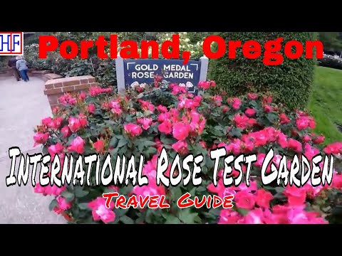 Video: Kiat Terbaik Untuk Menekan Biaya Perjalanan Anda Ke Portland, Oregon