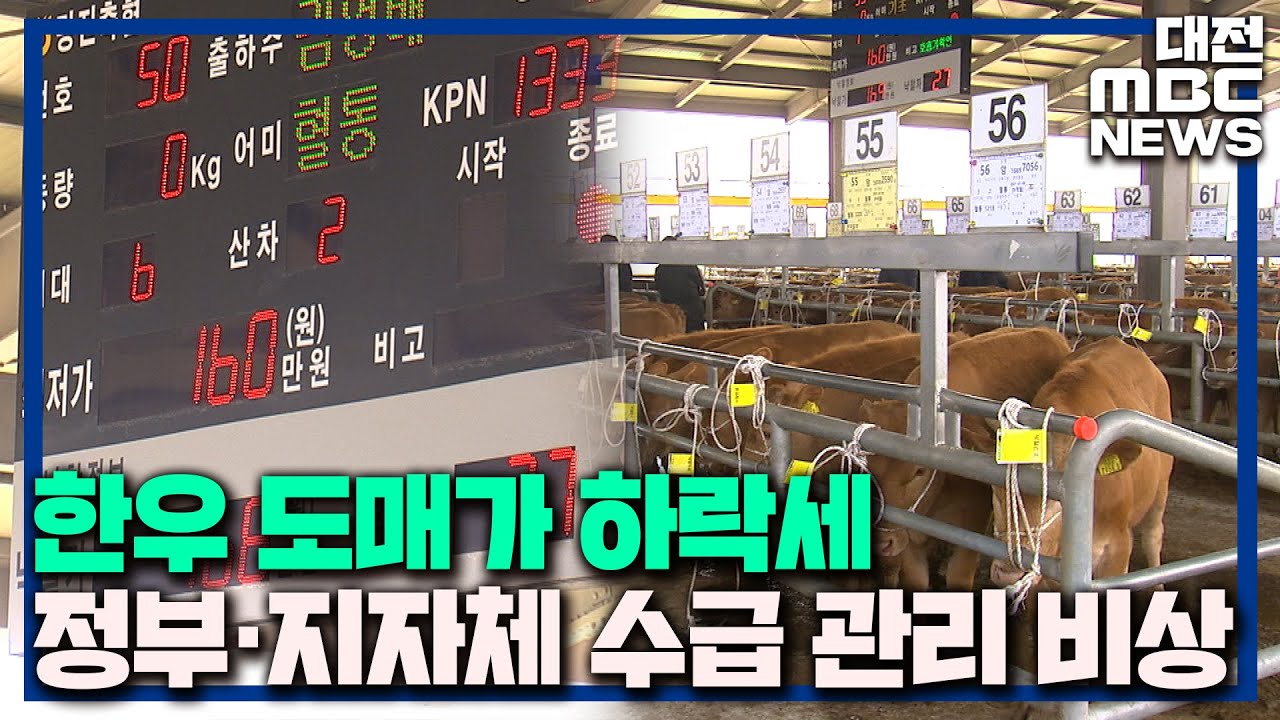 공급량 늘자 한우 가격 하락세 농가 '시름'/대전MBC