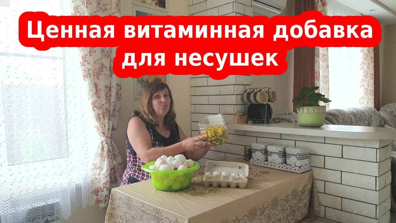 Природные витамины для кур несушек. Что для кур важно весной! - YouTube