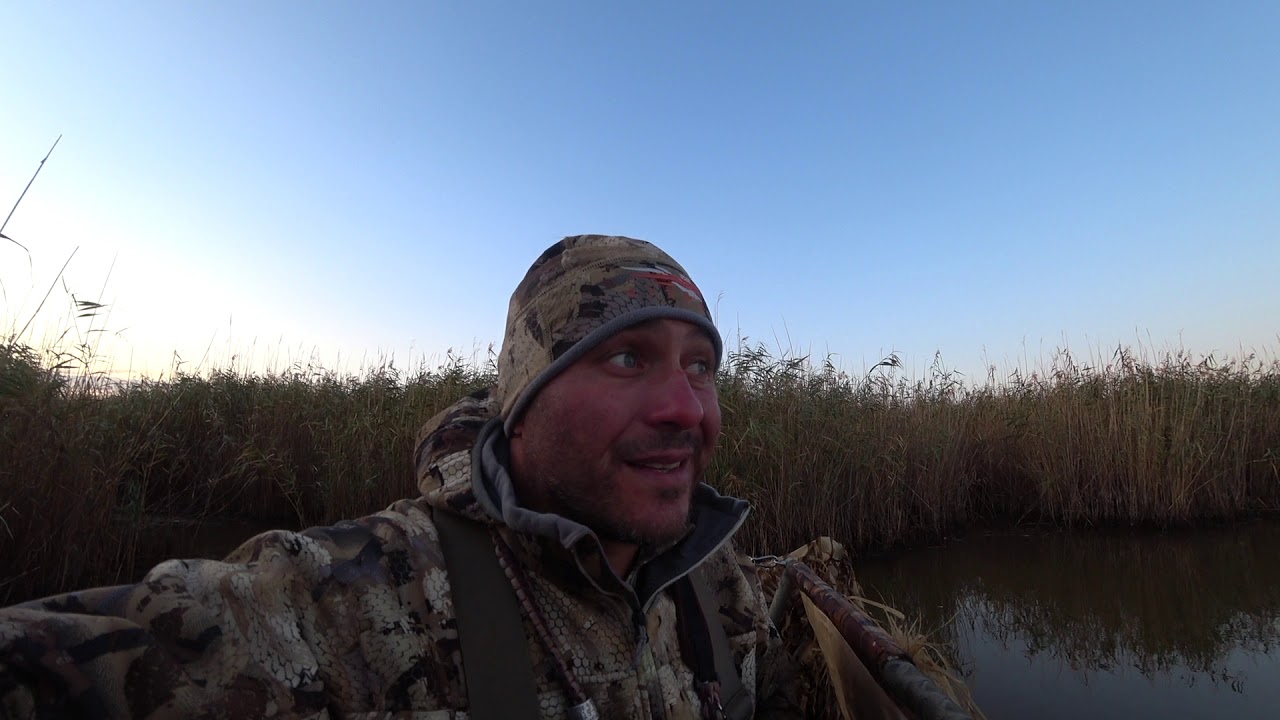 Охота на утку 2019г