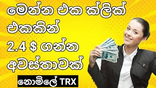 Passive Income Sri Lanka | Earn Money Online Sinhala | Online Job Sinhala @slsadarubro