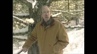 Fred Pfeiffer With Sun Mountain Logging 1997