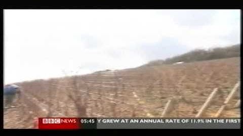 High tech tags against wine counterfeiting