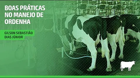 Quais os cuidados e quais as práticas que devemos ter no manejo pré e pós ordenha explique?