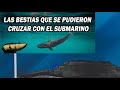 Las Bestias Que Se Pudieron Cruzar Con El Submarino Titan OceanGate | Sigue Si Aparecer El Submarino
