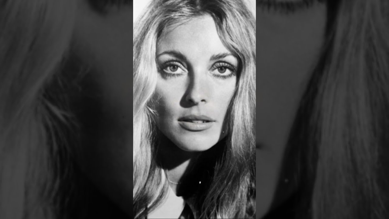 August 9 1969 The Night Hollywood S Dream Died