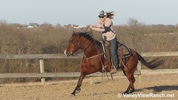 Whiz In The Wind - mounted shooting and carrying the flag! - ValleyViewRanch.net