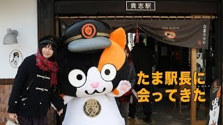 和歌山電鐵 ネコの駅長 たま駅長に会ってきた。