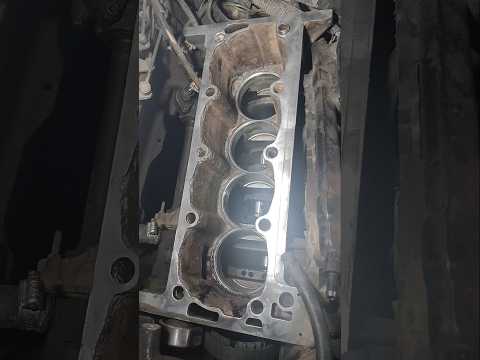 تازه 60 ملیون خرجش کردم