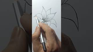 How To Draw A Beautiful Flower Pencildrawing 
