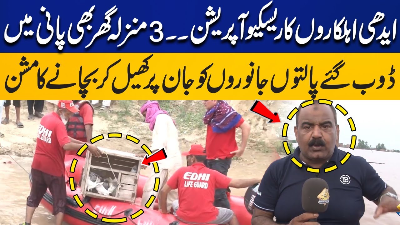 Edhi Rescue Operations For PET Animals Stuck in Flood | River Ravi Out Of Control | Capital TV