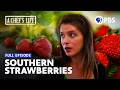 Strawberry Season in the South with Vivian Howard | A Chef's Life | Full Episode