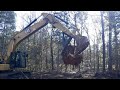 Clearing trees for small access road finished destumping done with excavator