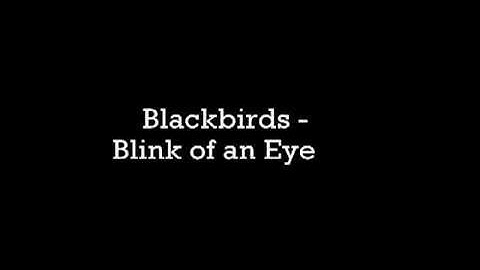 The Blackbird - Blink of an Eye