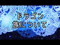 ドラゴン族について