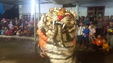 can macanan si mata merah melawan ular piton