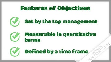 Planning Unit 4 VIDEO 5 Objectives - A type of standing plan