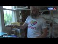Пасека в квартире  Бывший полицейский на Урале собирает мед, не выходя из дома
