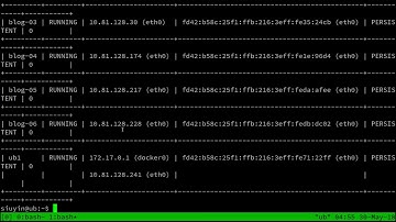 Running docker within an LXD container