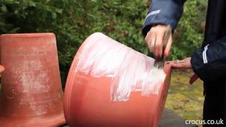 How to age a terracotta pot