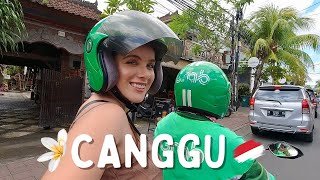 THE ULTIMATE GUIDE TO CANGGU, BALI | Where To Stay, What To Do   What The Hype Is All About ;)