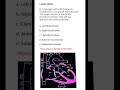 Medicine & Surgery MCQs (For MBBS, USMLE, MCCQE & PLAB)