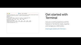 Mac Terminal for Beginners: Essential Commands &amp; Tips!