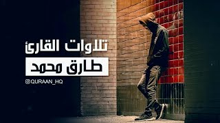 جميع تلاوات القارئ طارق محمد  - الصوت الذي فاجأ الجميع !!!