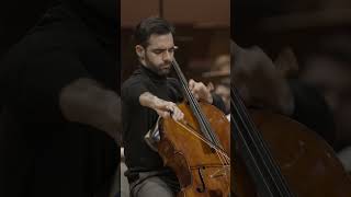 The harmony of strings: Brahms&#39; Double Concerto for violin and cello 🎶 #classicalmusic #shorts