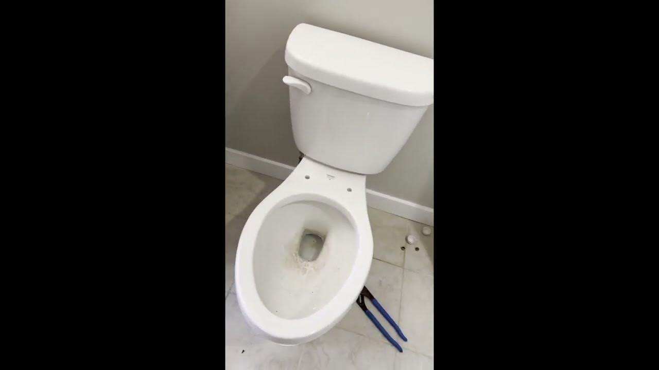 How to unclog a blocked toilet, Toilet Clogged , why is my toilet gurgling ? Plunger,Auger wont