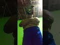 mi de papai