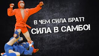 ПОДБОРКА БРОСКОВ УДАРОВ НОКДАУНЫ БОЕВОЕ САМБО 2021