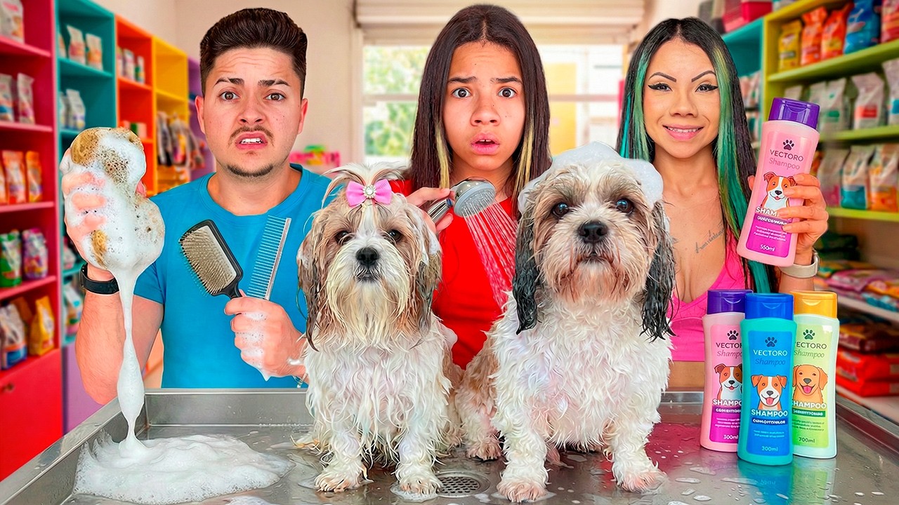 24 HORAS PRA ENCONTRAR UM PET SHOP NOVO!